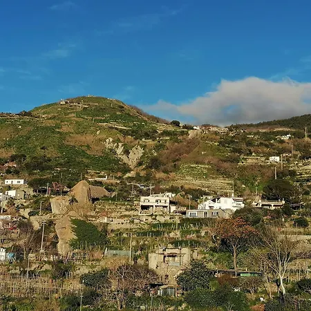 Casa Maremonti * Ischia